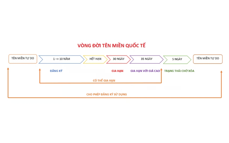 vòng đời của domain quốc tế