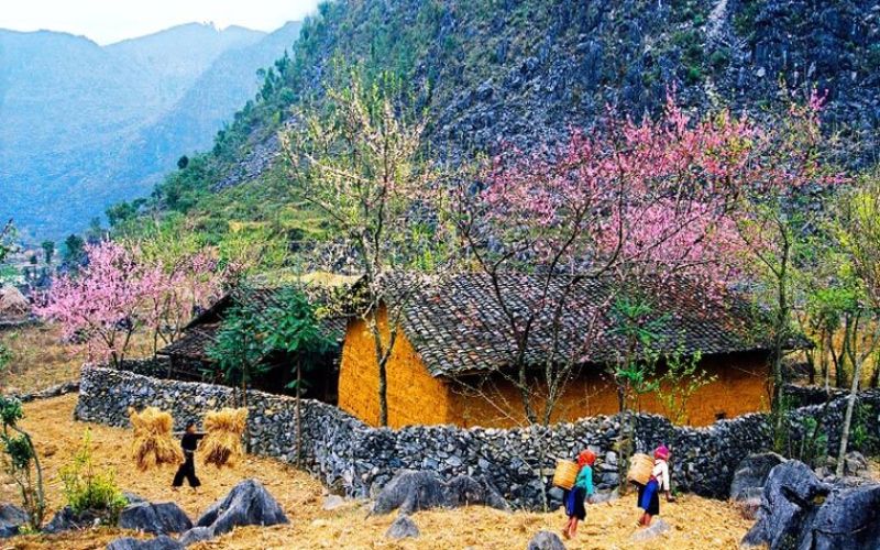 Kinh nghiệm du lịch Hà Giang tháng 12 cho người mới