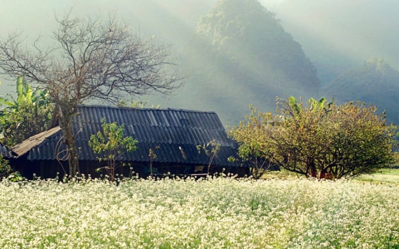 Thời tiết Hà Giang tháng 12